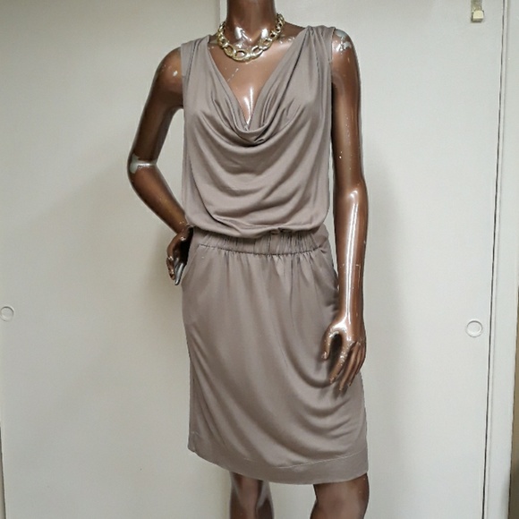 Banana Republic Dresses & Skirts - Banana Republic Heidi Cowl Staple Silk Dress